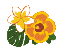 Flowers Hibiscus Sticker