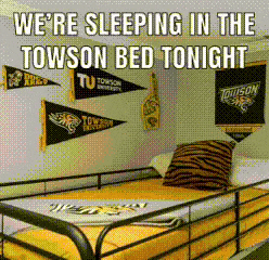 Towson GIF
