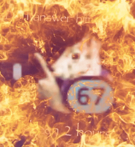 Fire Rabbit GIF