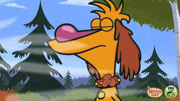 happy nature cat GIF by PBS KIDS