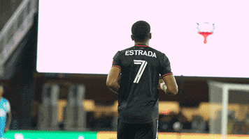 Football Sport GIF by D.C. United