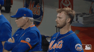 Happy Lets Go GIF by New York Mets