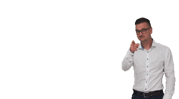 Viktor Janovsky Sticker