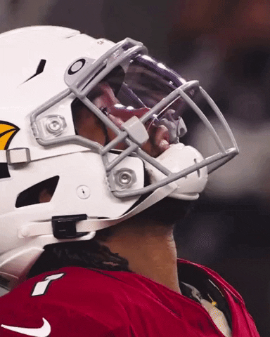 Look Up Come On GIF by Arizona Cardinals