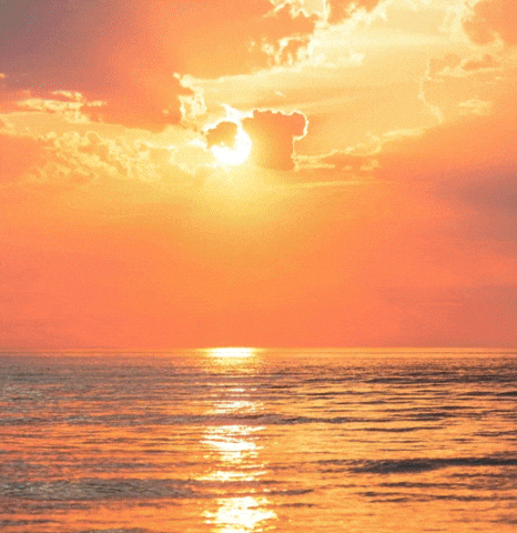 Atlanta Falcons Football GIF by Bijan Mustardson