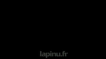 Nature GIF