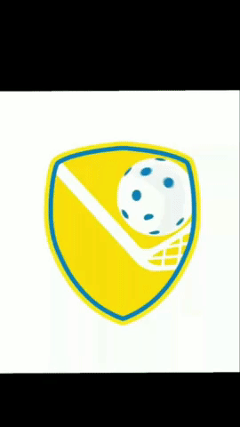 Floorball Brasil GIF