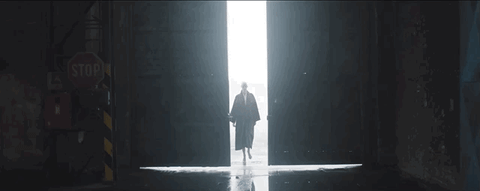 Arc Howalllivingthingsbreathe GIF