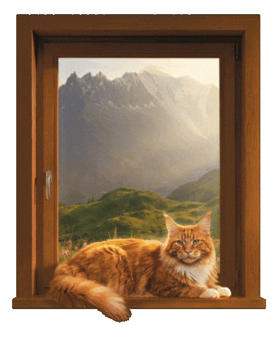 Krmivoontario Sticker by Super zoo