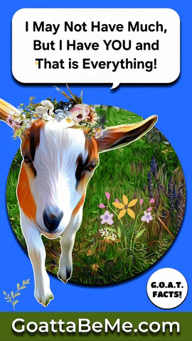 Cute Goats Youre The Best GIF by Goatta Be Me Goats! Adventures of Java, Toffee, Pumpkin and Cookie!
