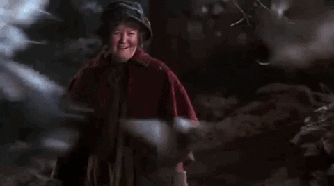 Gif Image Most Wanted Home Alone Bird Lady Gif