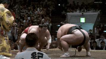 Sumo GIF