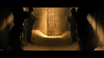 nickibarrett  GIF