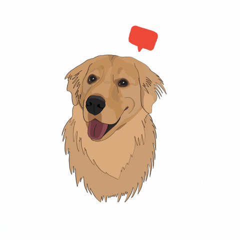 Love GIF