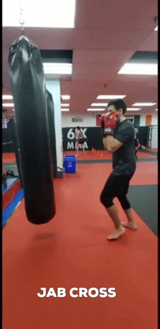 Kickboxing GIF