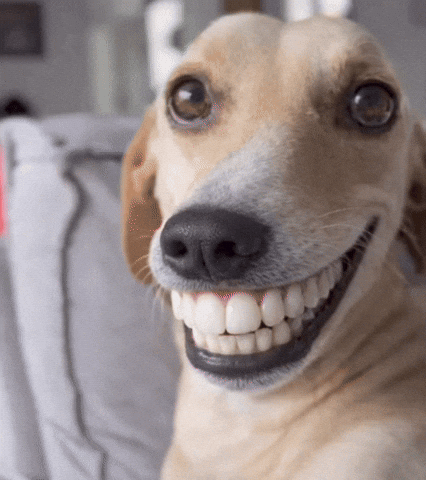 Excited reaction