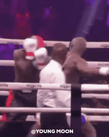 Boxing Fighting GIF