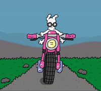 Riding-a-motorcycle GIFs - Get the best GIF on GIPHY