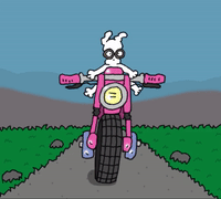 Riding-a-motorcycle GIFs - Get the best GIF on GIPHY Riding-a-motorcycle GIFs - Get the best GIF on GIPHY