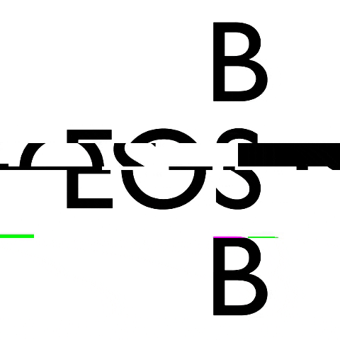 EOS BSB GIF