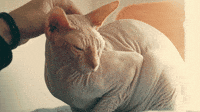 alltimelow-all-time-low-sleeping-in-sleepinigin-jPBRHsZFaNVLlASZd3