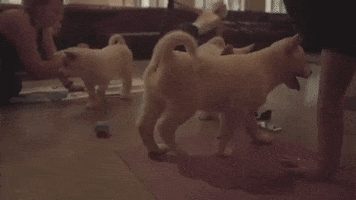 GIF by Travelodge