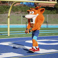 Mascot Kicker GIF by Crash Bandicoot