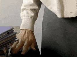Pelisky GIF