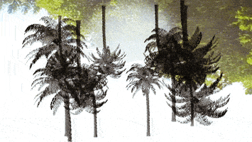 palm trees falling GIF by The NGB