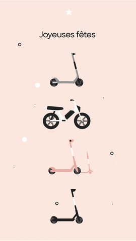 Bird GIF