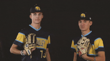 Golden Eagles Baseball GIF by Rock Valley College