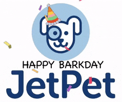 Jetpetresort GIF