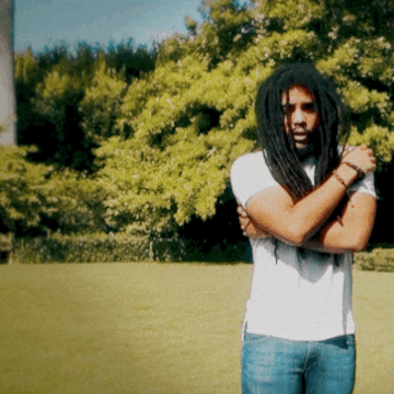 Amplified Records GIF