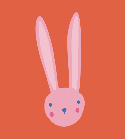 Pink Rabbit GIF
