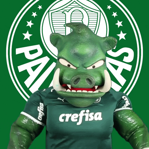 tamo junto soccer GIF by SE Palmeiras
