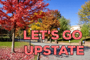 Villa Roma Resort GIF