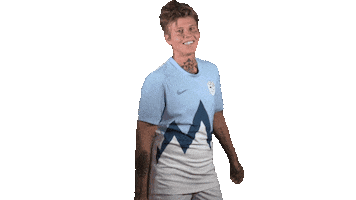 NZS | FA Slovenia Sticker