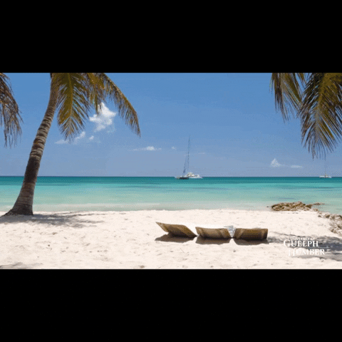 Ad gif. A University of Guelph-Humber gif that shows a peaceful beach scene with crashing waves and palm trees. Text, “What’s up Wednesdays. #GHfuturestudent.”