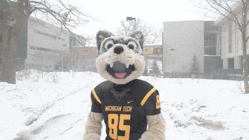 In And Out Snow GIF by Michigan Tech