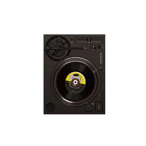 Vinyl Records Sticker by ReloopDJ