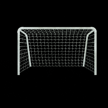 Soccer Goal GIF by Anthropologie