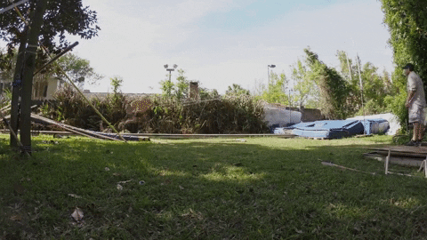 Animated GIF - Find & Share on GIPHY