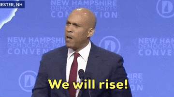 We Will Rise New Hampshire GIF by Election 2020