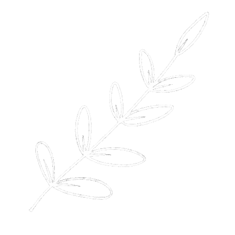 Plant Doodle Sticker