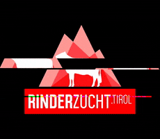 Rinderzucht Tirol GIF