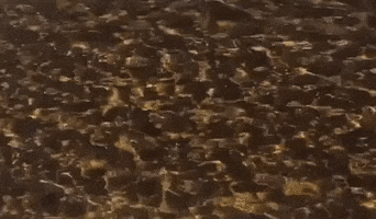 Water Background GIF by Justin