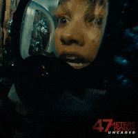 Under Water Scuba GIF by 47 Meters Down Uncaged