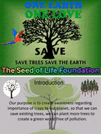 Food Save GIF by The Seed of Life Foundation