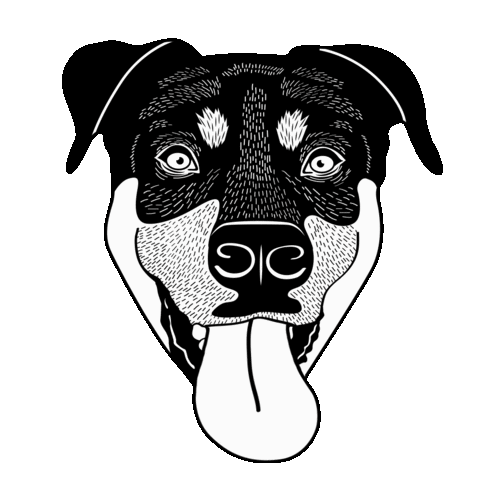 Panting Black And White Sticker by Gnar