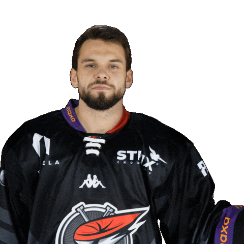 Hokej Smile Sticker by Piráti Chomutov